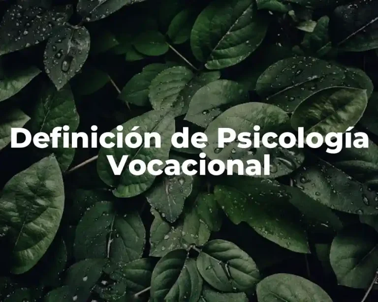 Definición de Psicología Vocacional