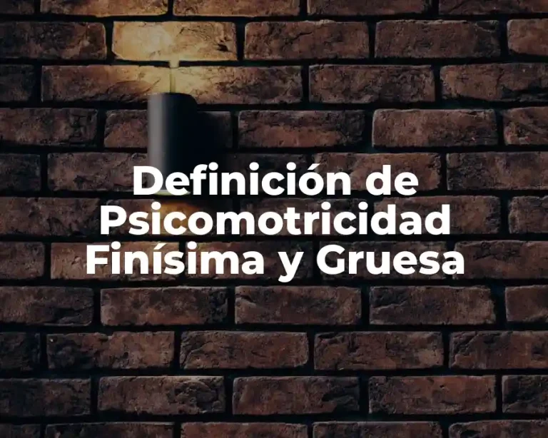 Definición de Psicomotricidad Finísima y Gruesa