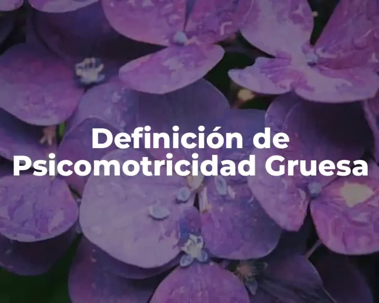 Definición de Psicomotricidad Gruesa