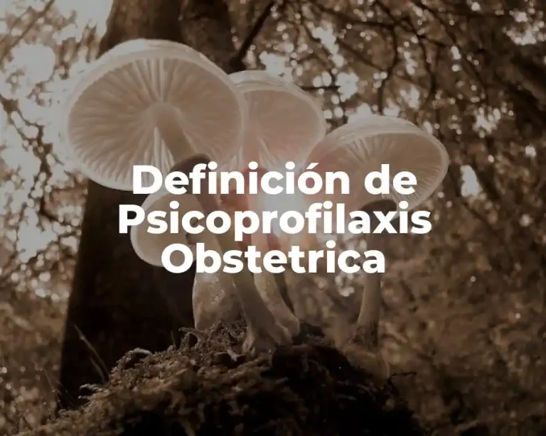 Definición de Psicoprofilaxis Obstetrica