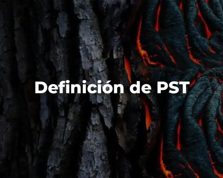 Definición de PST