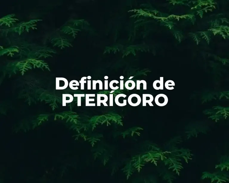 Definición de PTERÍGORO