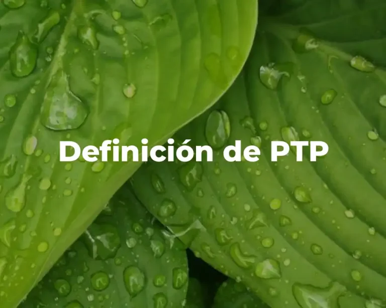 Definición de PTP