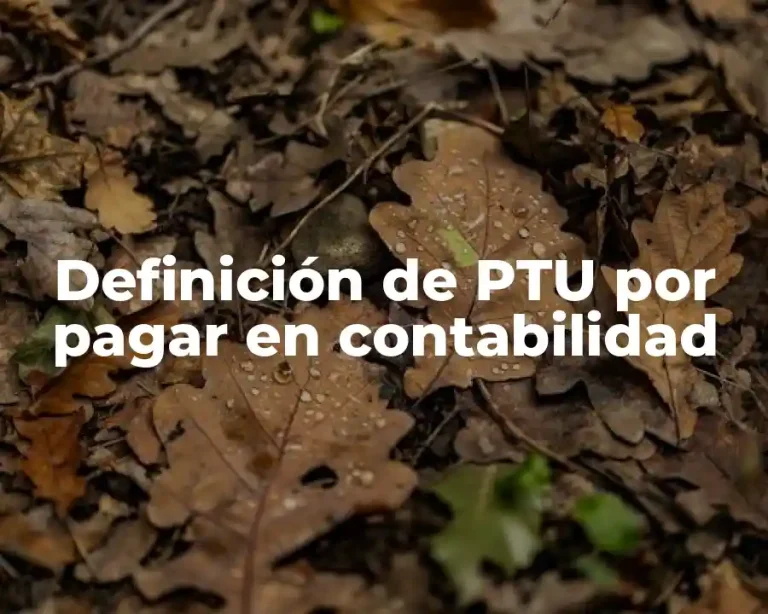 Definición de PTU por pagar en contabilidad