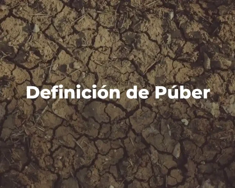 Definición de Púber