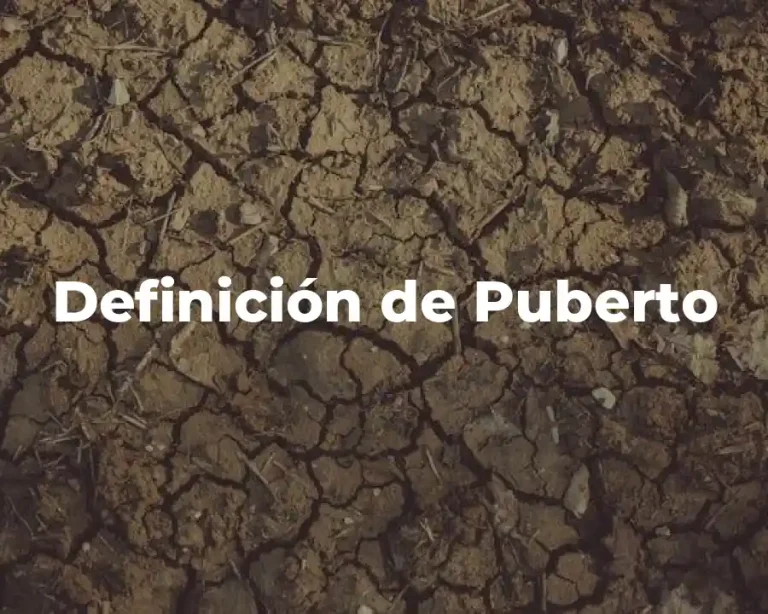 Definición de Puberto