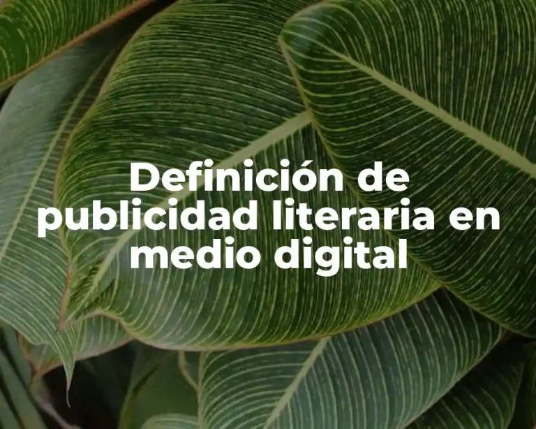 Definición de publicidad literaria en medio digital