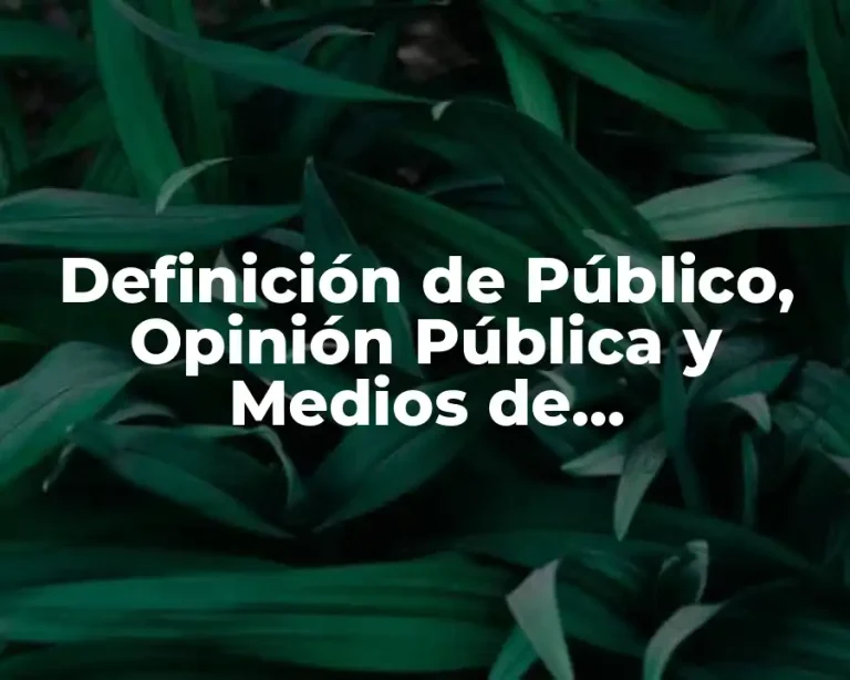 Definición de Público, Opinión Pública y Medios de Comunicación
