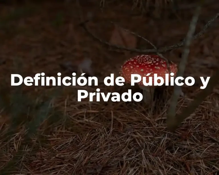 Definición de Público y Privado