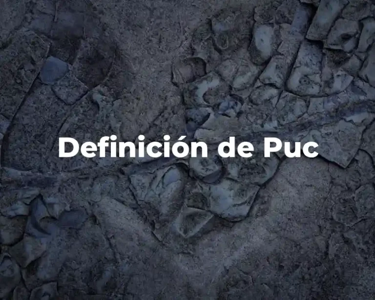 Definición de Puc