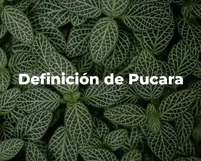 Definición de Pucara