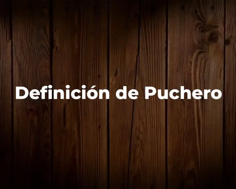 Definición de Puchero