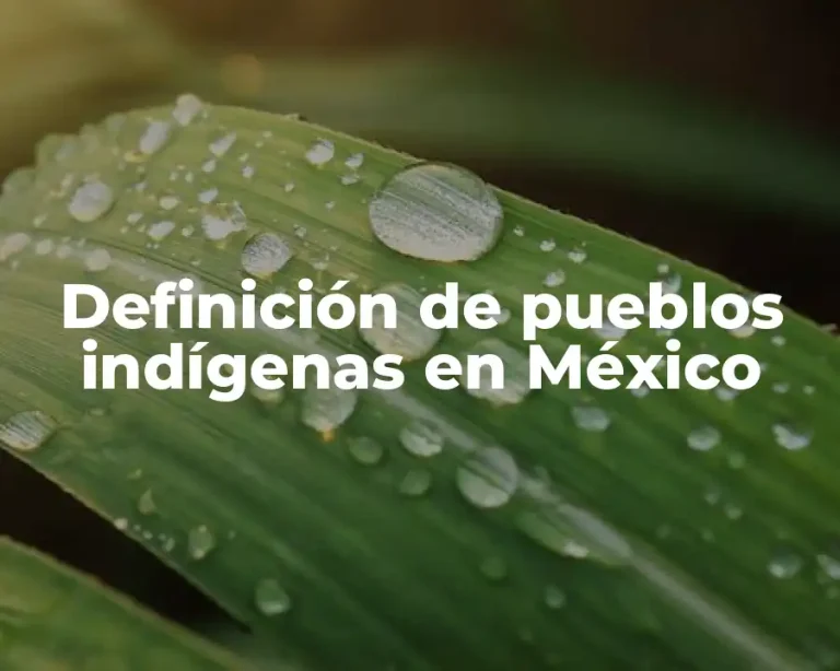Definición de pueblos indígenas en México