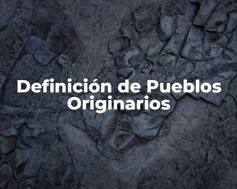 Definición de Pueblos Originarios