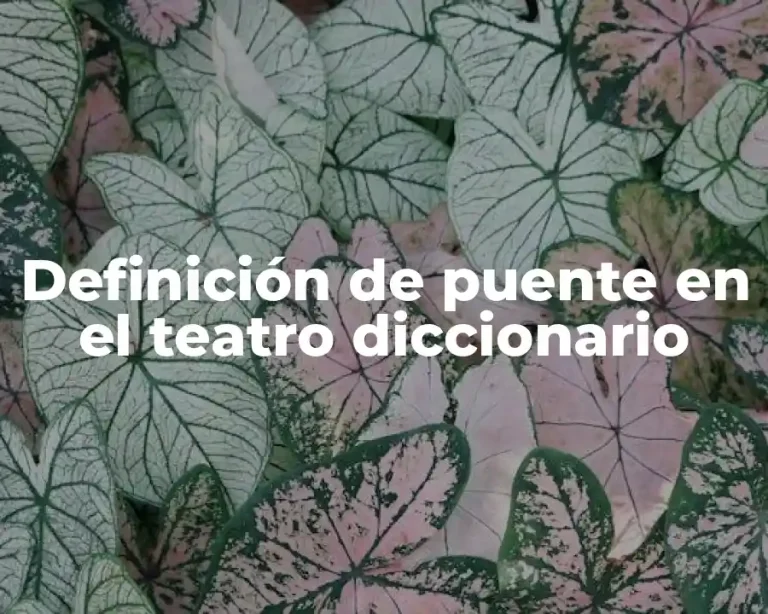 Definición de puente en el teatro diccionario