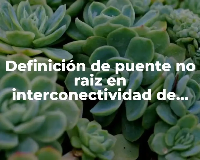 Definición de puente no raiz en interconectividad de redes