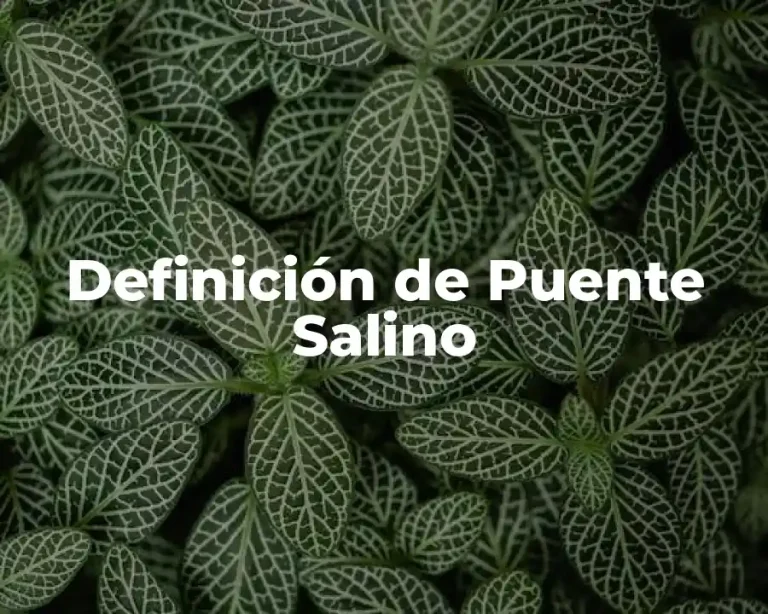 Definición de Puente Salino