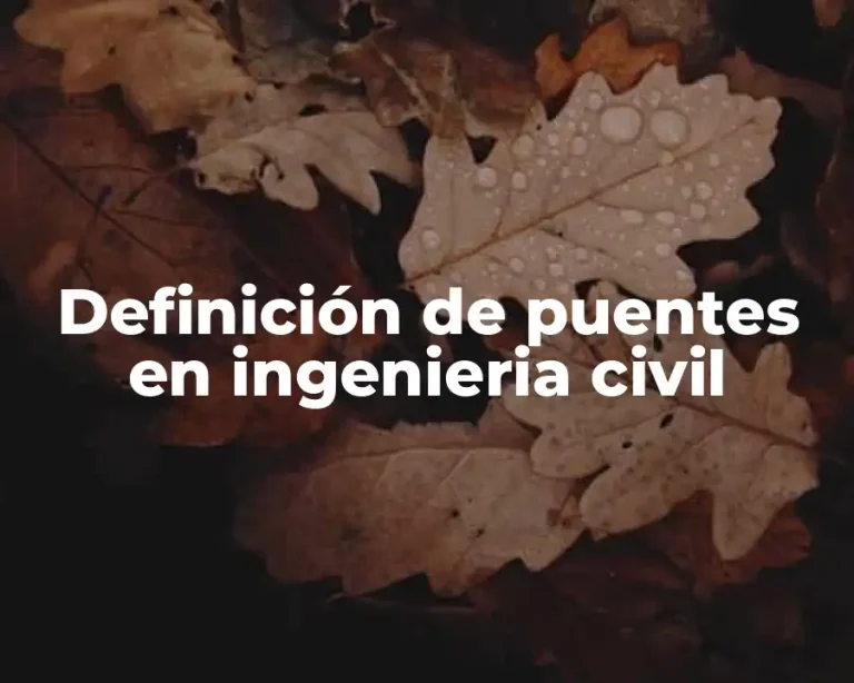 Definición de puentes en ingenieria civil