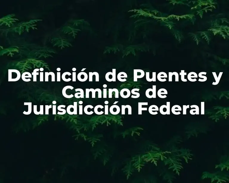 Definición de Puentes y Caminos de Jurisdicción Federal