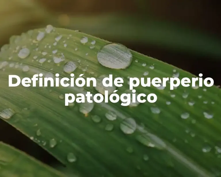 Definición de puerperio patológico