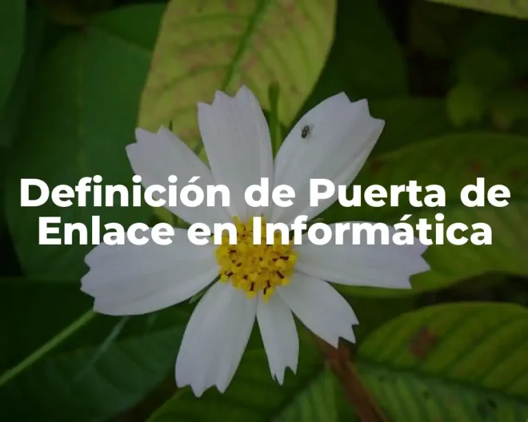 Definición de Puerta de Enlace en Informática