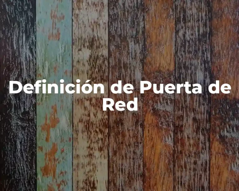 Definición de Puerta de Red