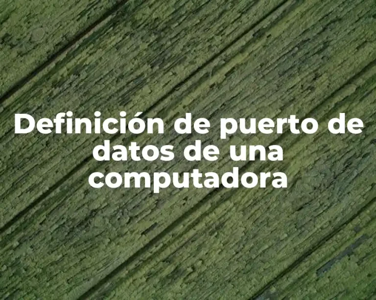 Definición de puerto de datos de una computadora