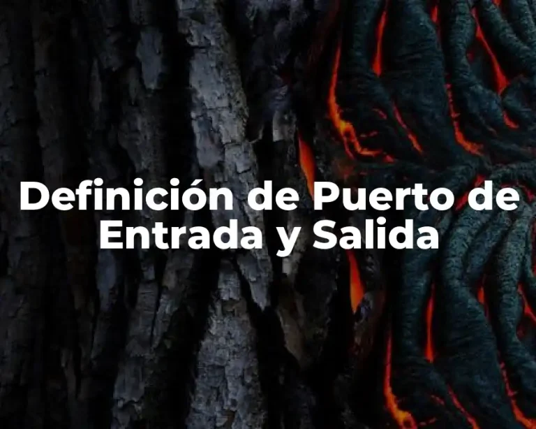 Definición de Puerto de Entrada y Salida