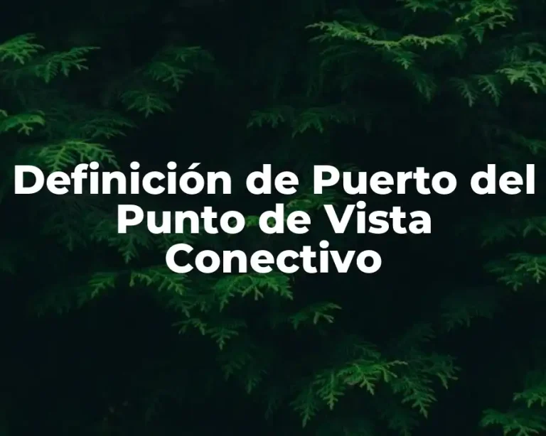 Definición de Puerto del Punto de Vista Conectivo