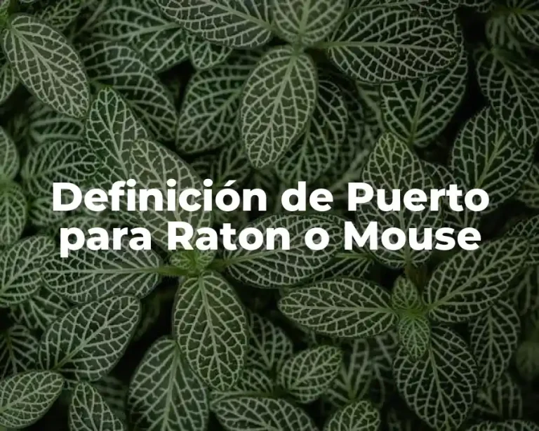 Definición de Puerto para Raton o Mouse