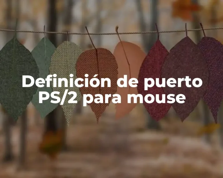 Definición de puerto PS/2 para mouse
