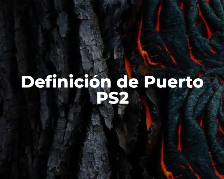 Definición de Puerto PS2