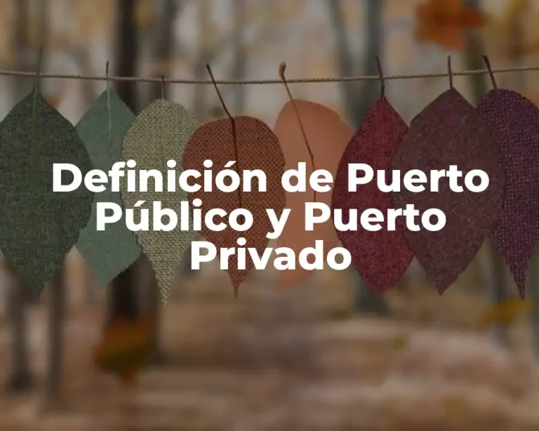 Definición de Puerto Público y Puerto Privado