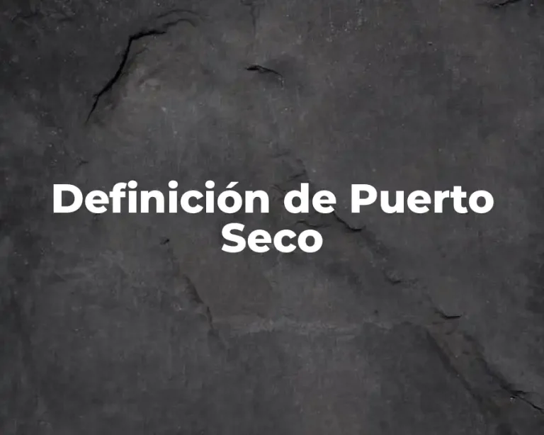 Definición de Puerto Seco