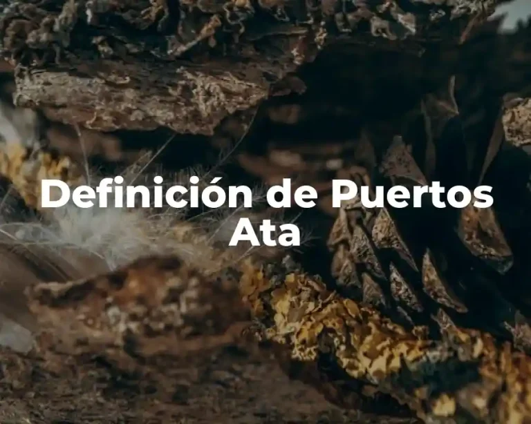 Definición de Puertos Ata