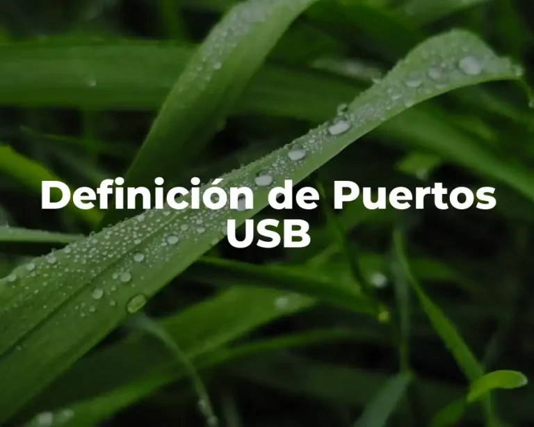 Definición de Puertos USB