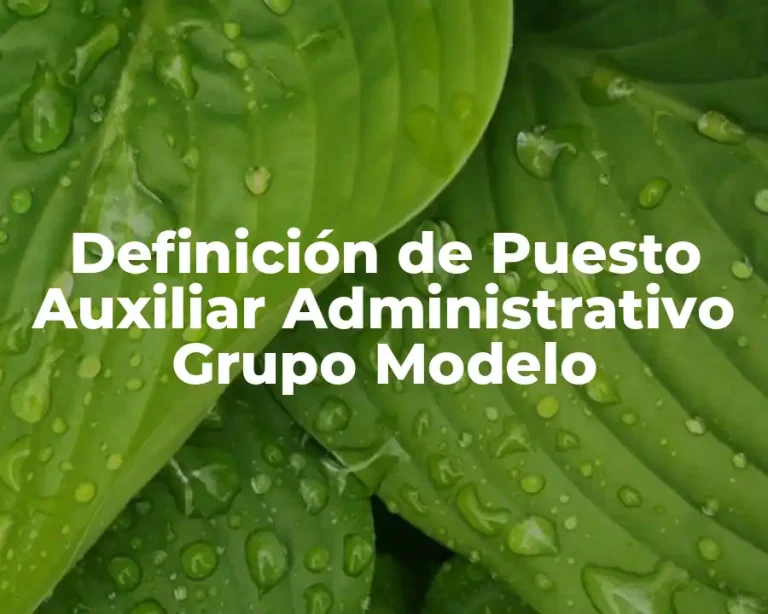 Definición de Puesto Auxiliar Administrativo Grupo Modelo