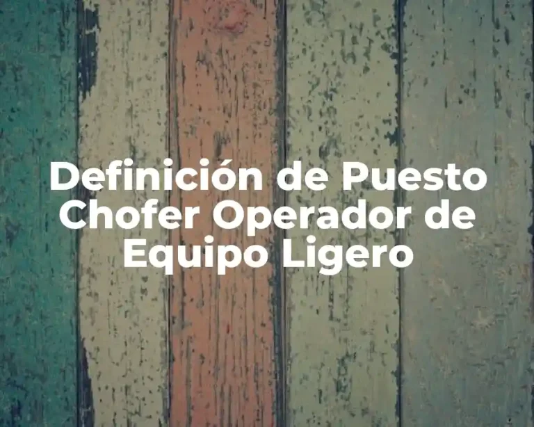 Definición de Puesto Chofer Operador de Equipo Ligero
