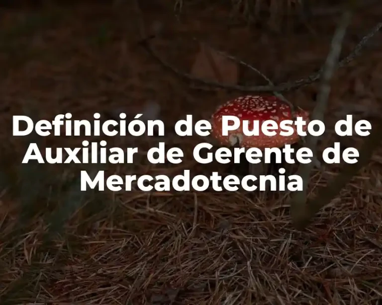 Definición de Puesto de Auxiliar de Gerente de Mercadotecnia