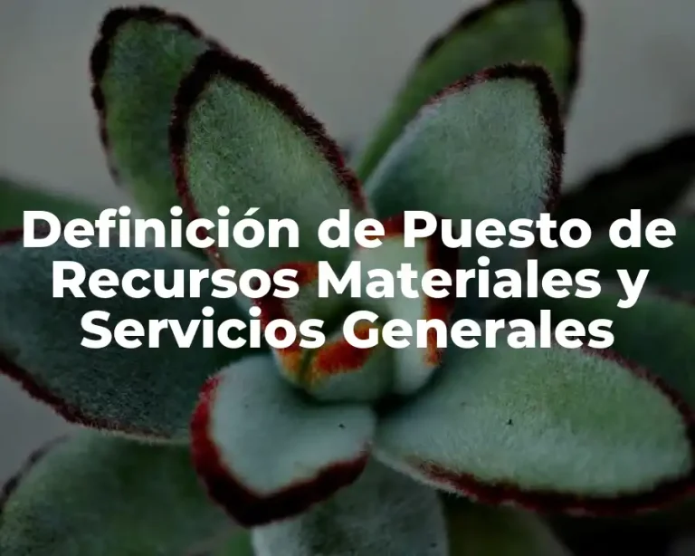 Definición de Puesto de Recursos Materiales y Servicios Generales