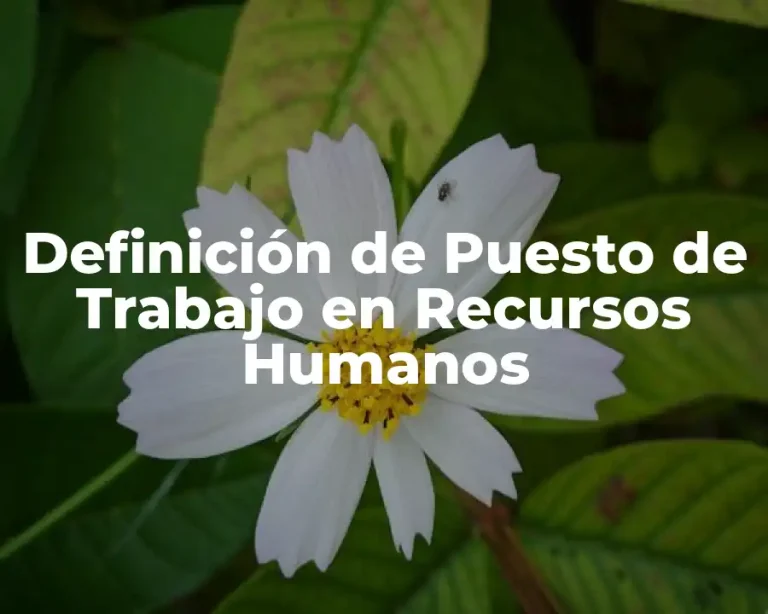 Definición de Puesto de Trabajo en Recursos Humanos