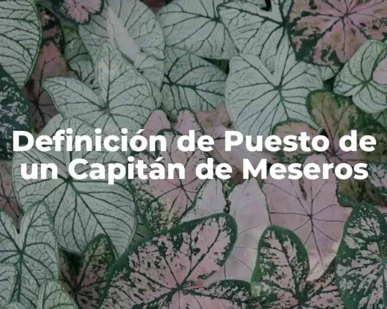 Definición de Puesto de un Capitán de Meseros