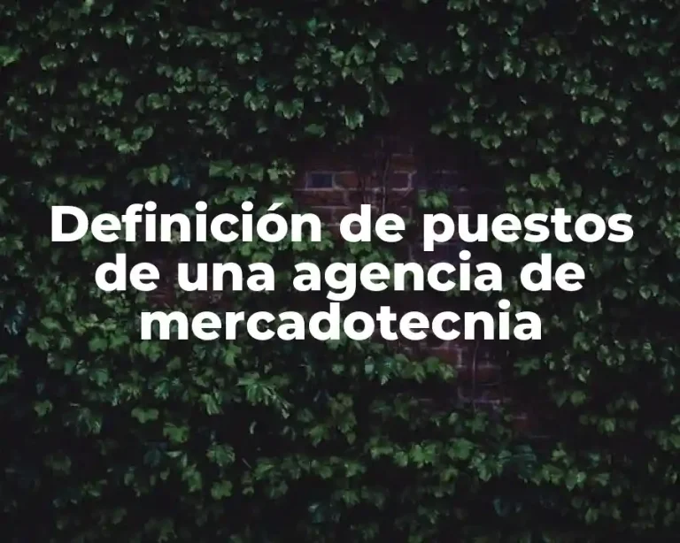 Definición de puestos de una agencia de mercadotecnia