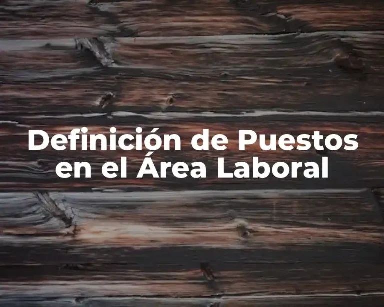 Definición de Puestos en el Área Laboral