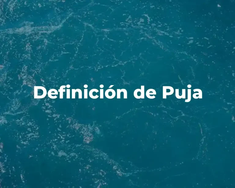 Definición de Puja