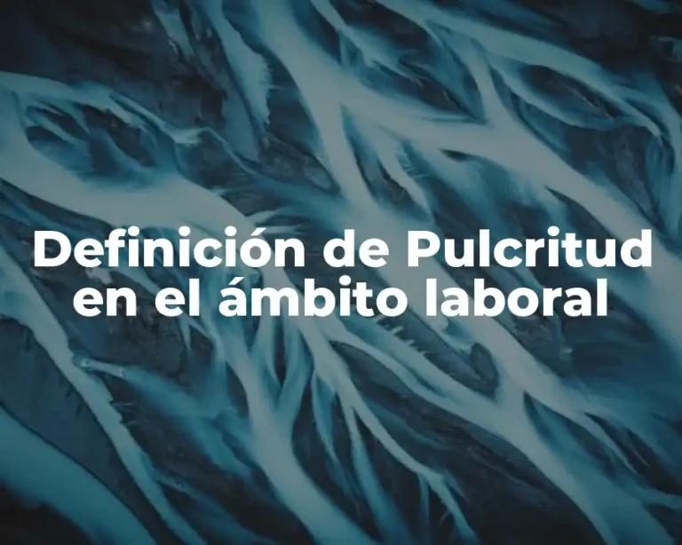Definición de Pulcritud en el ámbito laboral