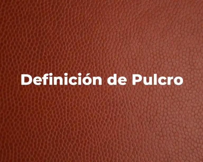 Definición de Pulcro