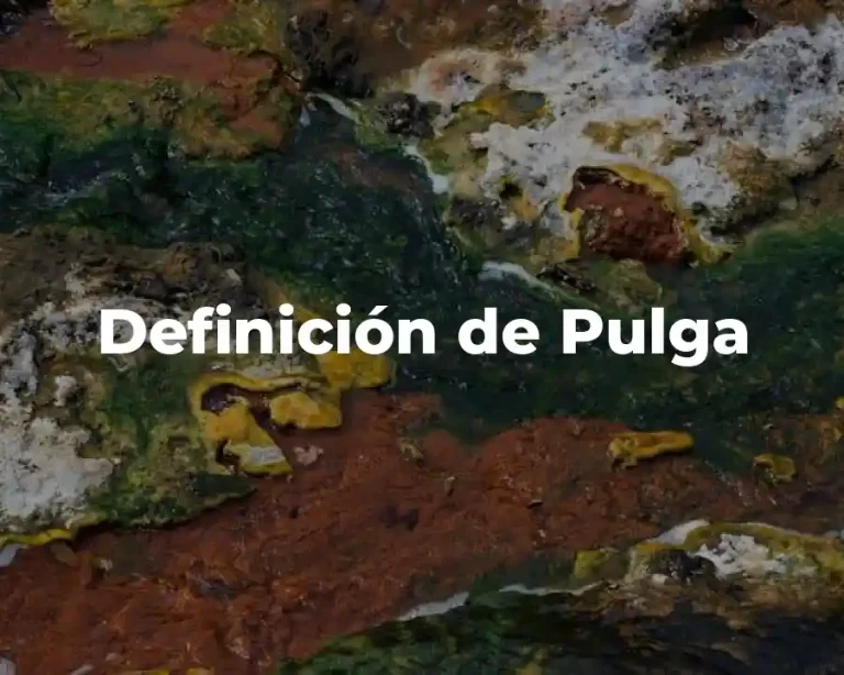 Definición de Pulga