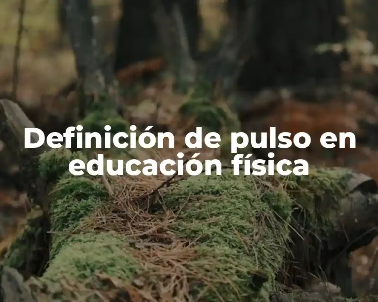 Definición de pulso en educación física