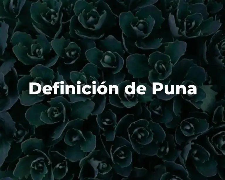 Definición de Puna